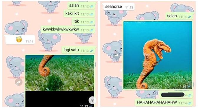 6 Chat Tebak Gambar Ini Sukses Bikin Kamu Ikut Emosi Hot Liputan6 Com