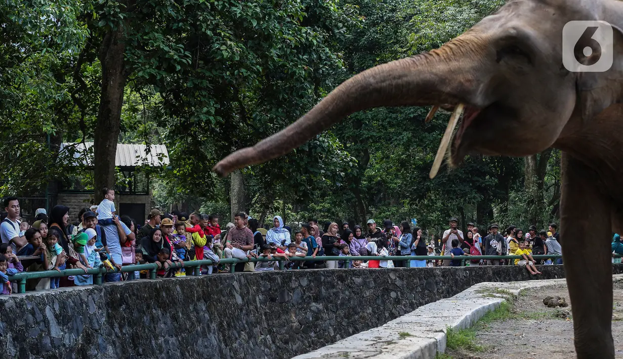 <p>Tercatat dari data per pukul 09.00 WIB, Minggu (23/4/2023) pagi, sudah ada 13 ribu warga yang datang ke Ragunan. (Liputan6.com/Johan Tallo)</p>