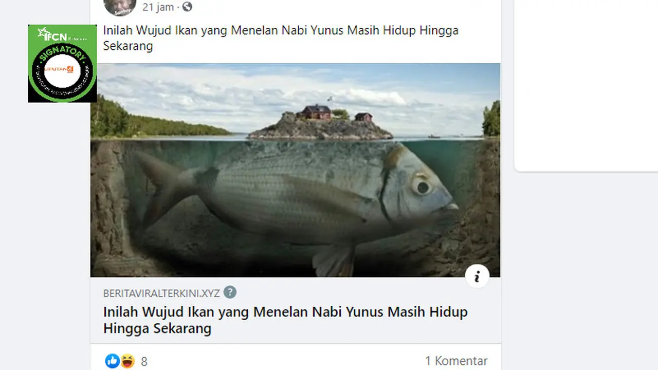 Cek Fakta Liputan6.com menelusuri informasi wujud ikan yang menelan Nabi Yunus