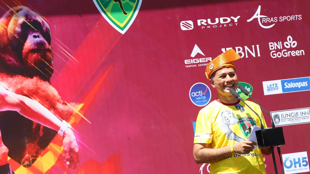 Wagub Sumut, Musa Rajekshah