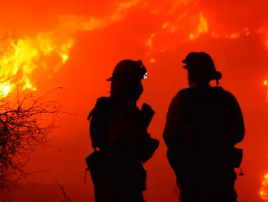 Dua petugas pemadam kebakaran mengecek api di atas Shepard Mesa Road di Carpinteria, California (10/12). Sejumlah warga di wilayah ini berhasil dievakuasi setelah api melalap permukiman mereka. (Mike Eliason/Santa Barbara County Fire Department via AP)