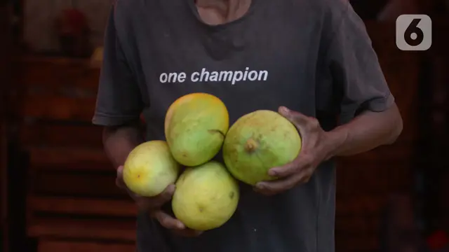 Buah Timun Suri Kian Digemari di Bulan Ramadhan