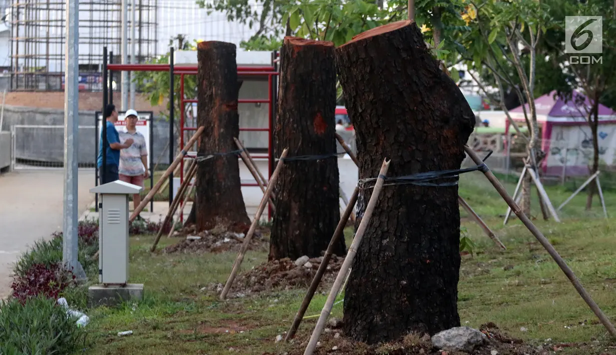 Pemandangan pohon-pohon dari Jalan Sudirman dipindah yang dipindahkan ke kawasan RTH Kalijodo, Jakarta Utara, Kamis (15/3). Selain di RTH Kalijodo, pohon-pohon asal Sudirman juga ditanam di Taman BMW. (Liputan6.com/Arya Manggala)