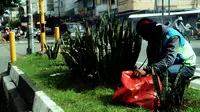 Seorang petugas saat pagi hari merawat tanaman lidah mertua di salah satu perempatan jalan Kota Makassar, Sulsel. (Liputan6.com/Ahmad Yusran)
