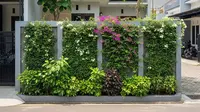 7 Cara Memanfaatkan Pagar Rumah agar Menjadi Kebun Vertikal yang Produktif dan Estetik