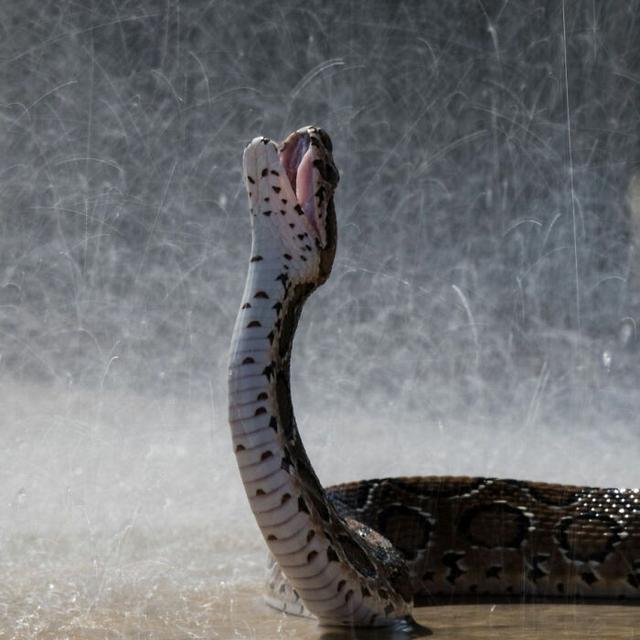 6 Jepretan Detail Rintik Hujan Ini Unik, Tetesan Air Manjakan Mata