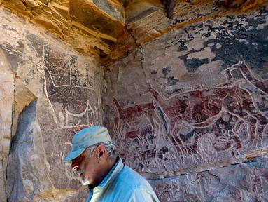 Arkeolog Jose Berenguer menunjukkan lukisan hewan llama di dinding batu cadas Gua Taira Calama, Chile, Minggu (21/7). Para penggembala meninggalkan sejumlah lukisan hampir tiga milenium lalu. (Martin Bernetti/AFP)