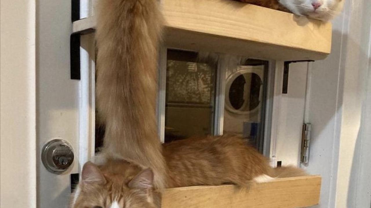 Jangan Terkecoh, 10 Potret Ini Buktikan Angle Bisa Menipu Mata