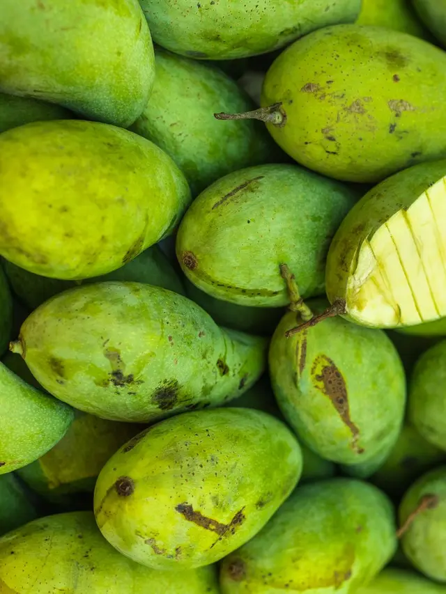 Ilustrasi Mangga Mentah; Mangga Muda