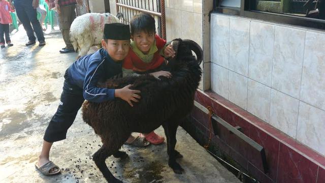 Hal Hal yang Harus Kamu Ketahui saat Menjadi Panitia Kurban