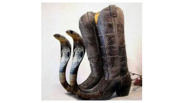 8 Desain Alas Kaki Ini Nyeleneh Banget, Bikin Gagal Paham