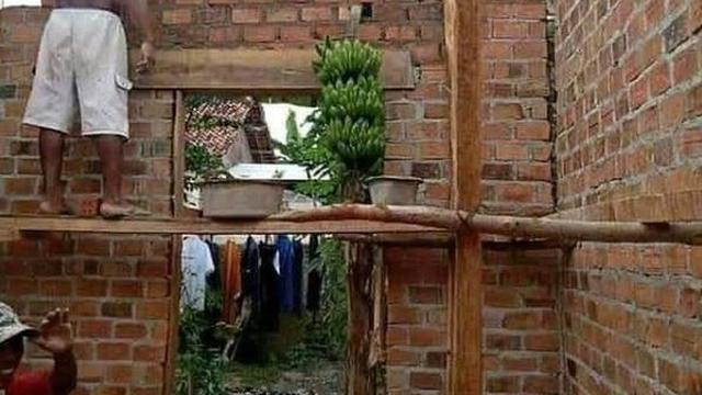 6 Momen Tak Terduga Ketiban Rezeki Buah Tetangga, Mujur Banget