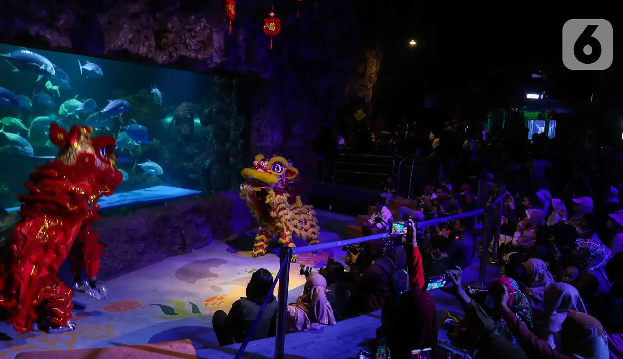 Pengunjung menyaksikan atraksi barongsai di akuarium Sea World Ancol, Jakarta, Rabu (18/1/2023). Pertunjukan barongsai bawah air tersebut merupakan rangkaian Ancol Lunar Fest 2023 dalam rangka menyambut Tahun Baru Imlek 2574 Kongzili. (Liputan6.com/Herman Zakharia)