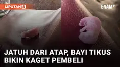 Momen tidak terduga dialami oleh seseorang ketika sedang makan di sebuah tempat makan