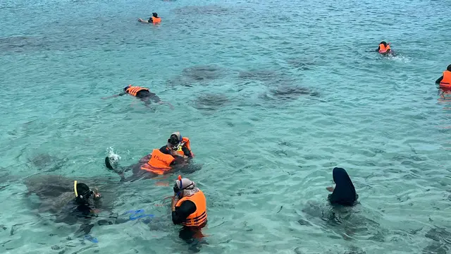 wisata bawah laut