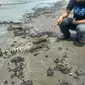 Lumba-lumba ditemukan mati di pesisir Pantai Pelangi, Desa Sungai Buntu, Kecamatan Pedes, Karawang. (Liputan6.com/Abramena)