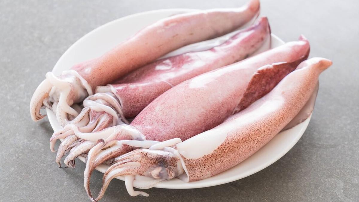 8 Resep Cumi Lezat untuk Hidangan Spesial di Rumah, Cocok untuk Keluarga