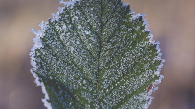 Ilustrasi penyebab kondensasi