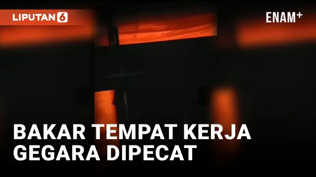 Shelter Kucing dan Anjing di Bogor Dibakar Mantan Karyawan yang Kesal gegara Dipecat