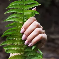 Ilustrasi/copyright unsplash.com/Elena Taranenko