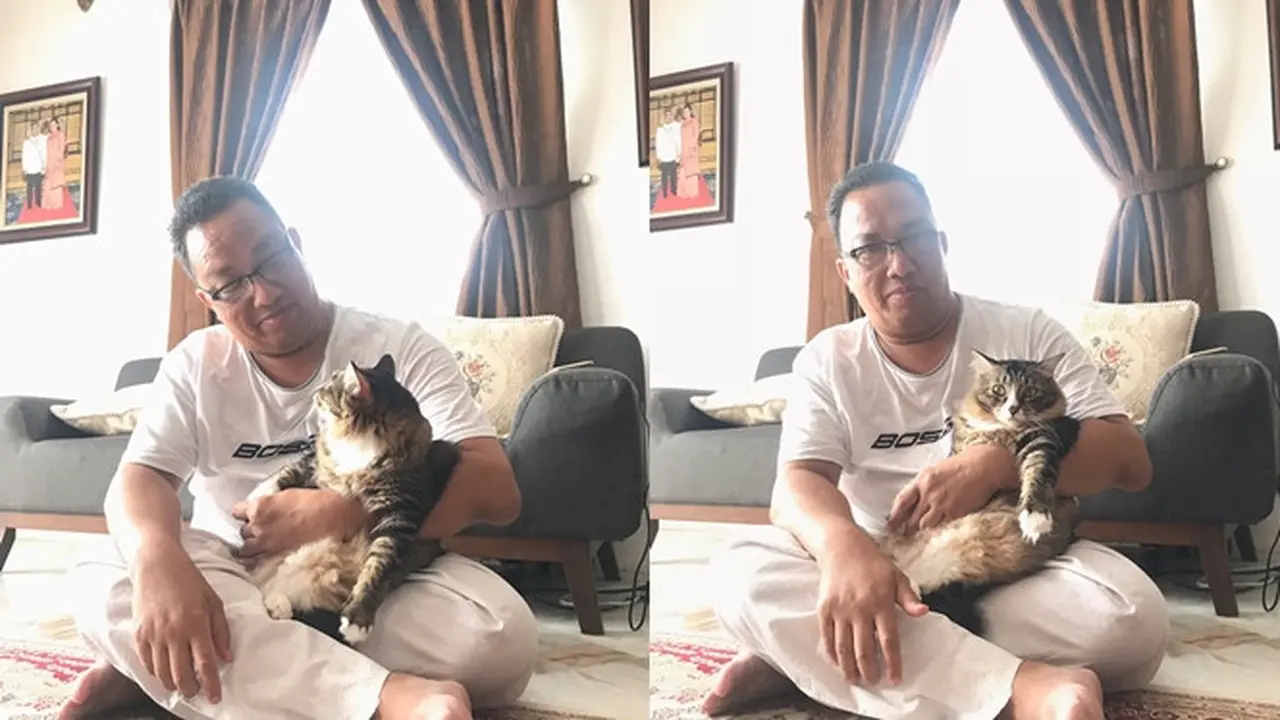 7 potret kedekatan ayah dan kucing