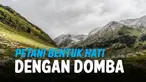 vertical dombs