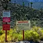 Area 51. Sumber : livescience.com.