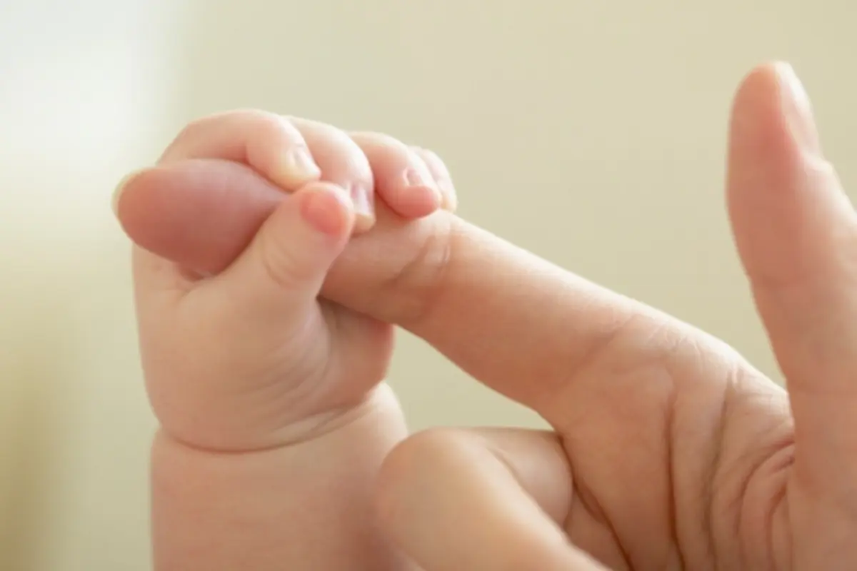 Foto: copyright shutterstock.com