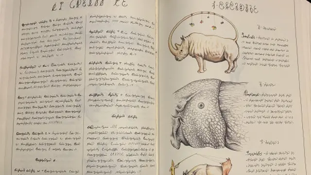 The Codex Seraphinianus