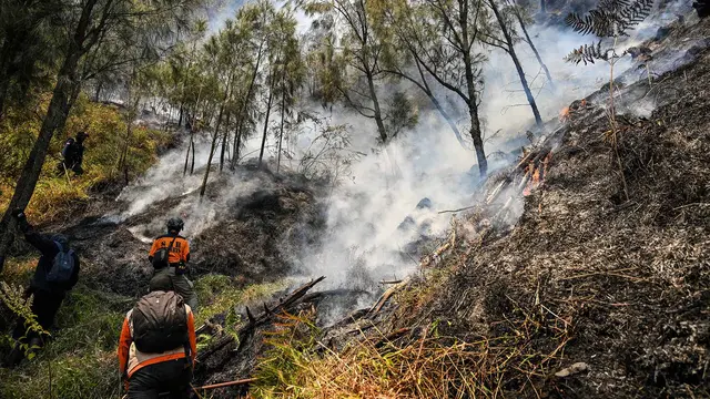 Pemadaman Terus Dilakukan Setelah Karhutla Melanda Gunung Bromo