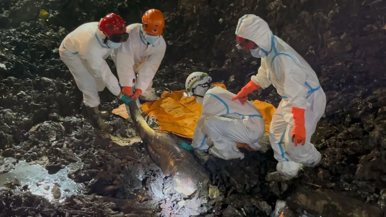 Update Longsor Sampah Bantargebang: Seluruh Korban Ditemukan