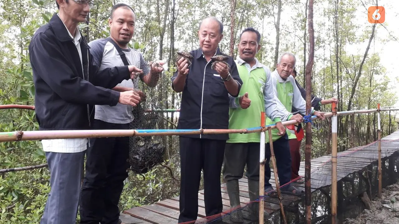 Penanaman Mangrove