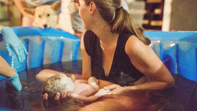 Momen hangat anjing saat menemani majikannya melahirkan
