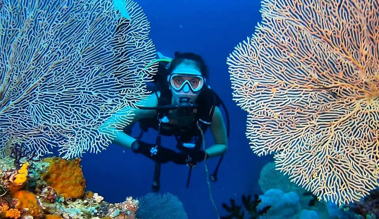 Widika memang dikenal sebagai sosok perempuan yang gemar traveling. Hal tersebut terbukti saat ia ditunjuk menjadi host acara petualang di salah satu televisi swasta Tanah Air. Saat menjelajahi indahnya lautan Raja Ampat, ia tak lupa mengabadikan fotonya di antara karang. (Liputan6.com/IG/@wdkds)