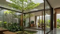 21 Jenis Pohon Teduh yang Bisa Ditanam di Taman dalam Rumah, Mudah Dirawat
