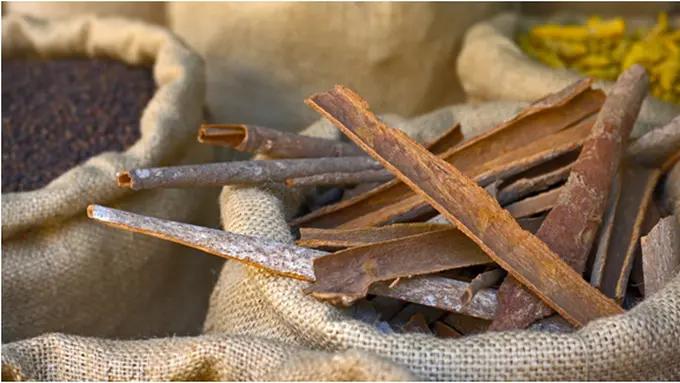 Courtesy ShutterStock.com