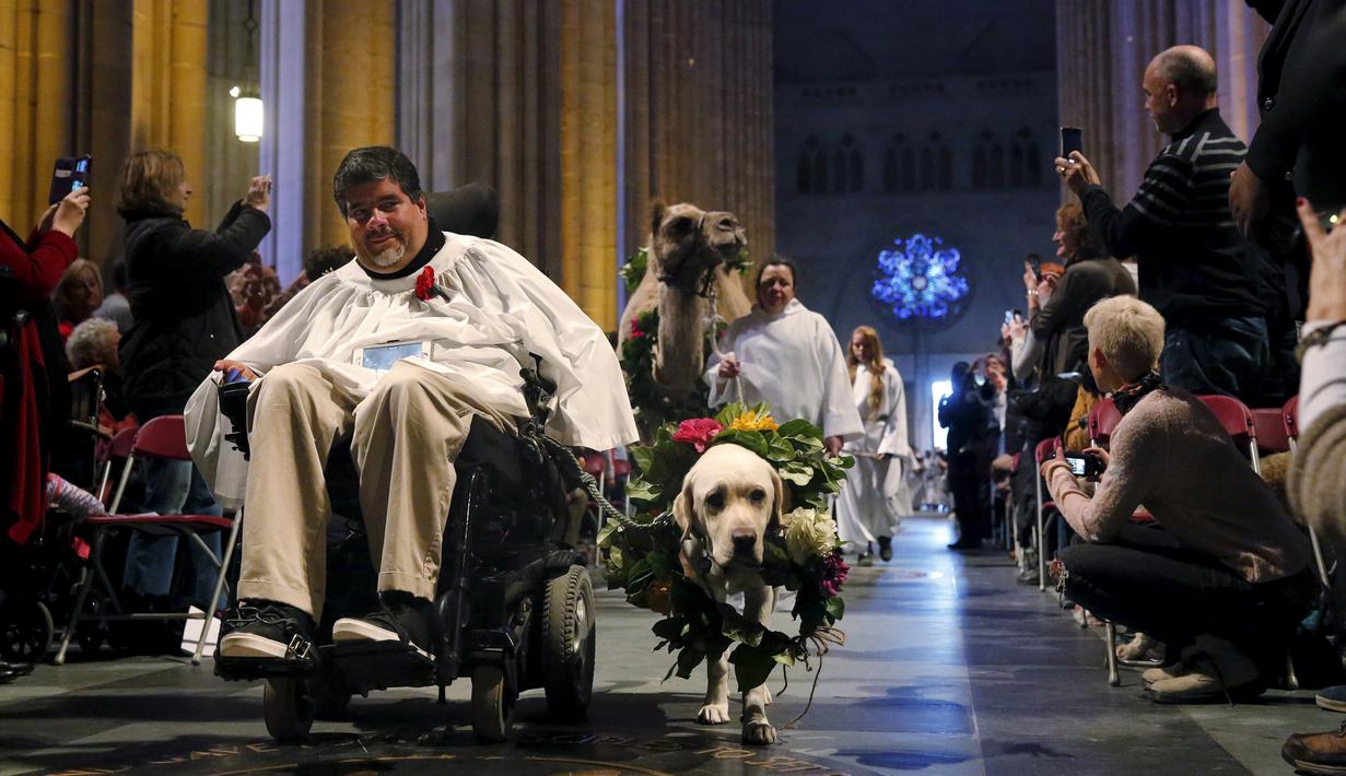 Hewan peliharaan bersama pemiliknya berjalan memasuki gereja Katredal Santo John the Divine untuk diberi pemberkatan pada 31st annual Feast of Saint Francis, New York, Minggu (4/10/2015). (REUTERS/Elizabeth Shafiroff) 