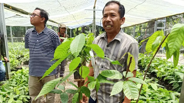 Saatnya Beralih ke Regenerative Tourism, Berwisata Sambil Healing dan Mengasah Kepedulian Lingkungan
