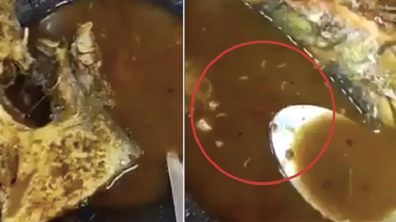 Untung Ketahuan, Banyak Belatung di Makanan Ini