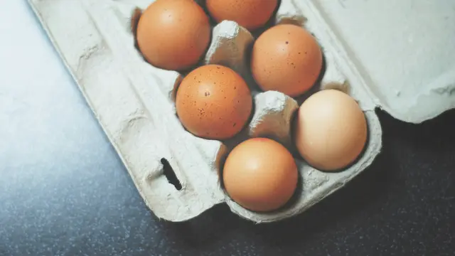 Ilustrasi Telur.