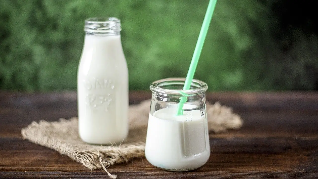 Susu