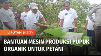 VIDEO: YPP SCTV-Indosiar dan YPK Beri Bantuan Mesin Produksi Pupuk Organik untuk Petani