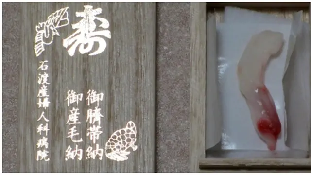 Foto : copyright oddee.com