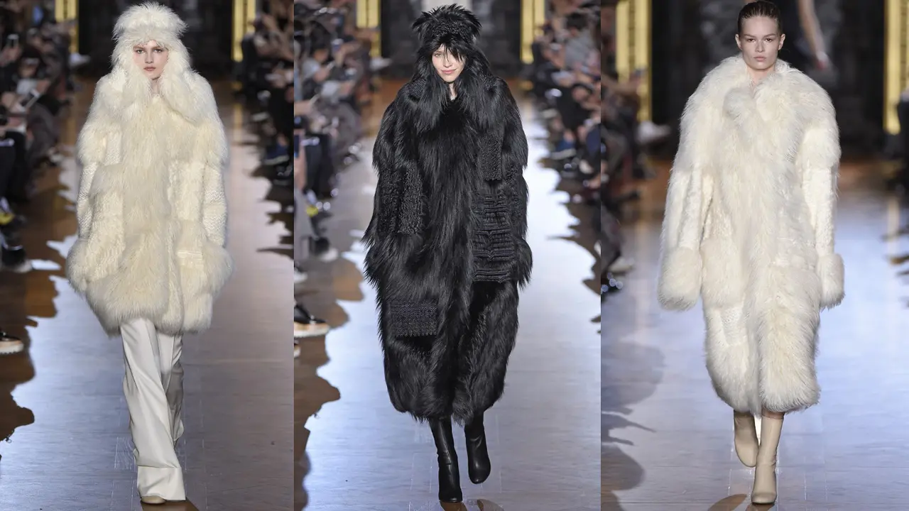 Stella McCartney - Paris Fashion Week Autumn-Winter 2015