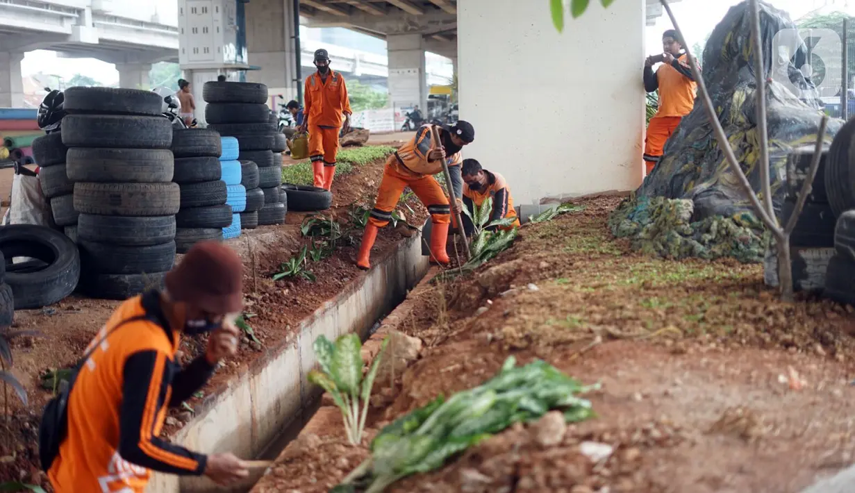 Petugas Penanganan Prasarana dan Sarana Umum (PPSU) menyelesaikan pembangunan Taman Pilar Jati di Cipinang Melayu, Jakarta, Selasa (27/10/2020). Area yang dilengkapi taman lalu lintas serta sarana bersepeda tersebut untuk mempercantik lahan tidur di kolong tol. (Liputan6.com/Immanuel Antonius)