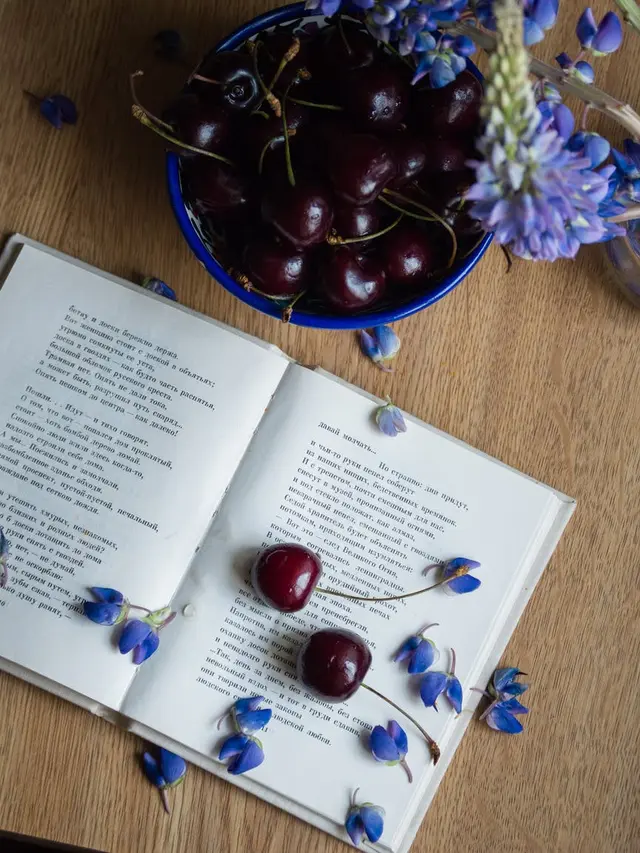 Kutipan Inspiratif The Alchemist