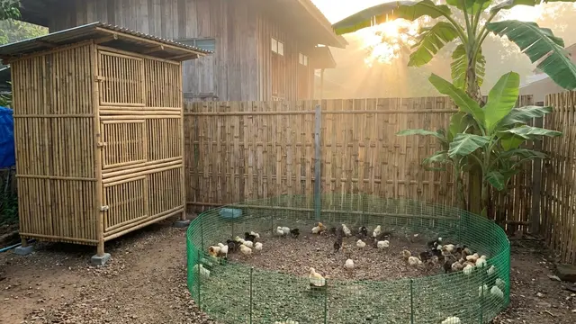 Model Halaman Belakang Rumah di Desa untuk Ternak Kecil. AI