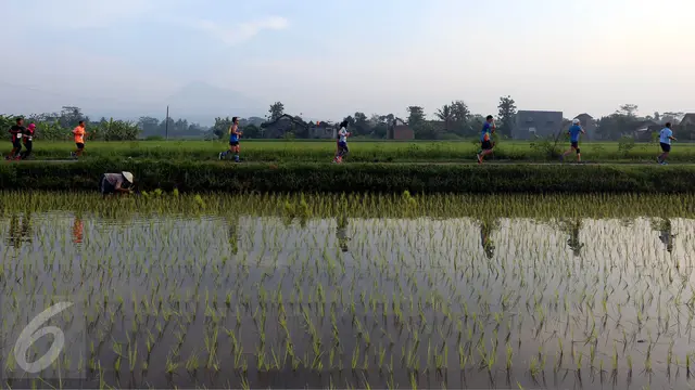 20170423-Mandiri Jogja Marathon-Tallo