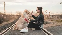 The 10 Most Loyal Dog Breeds That Will Never Leave Your Side