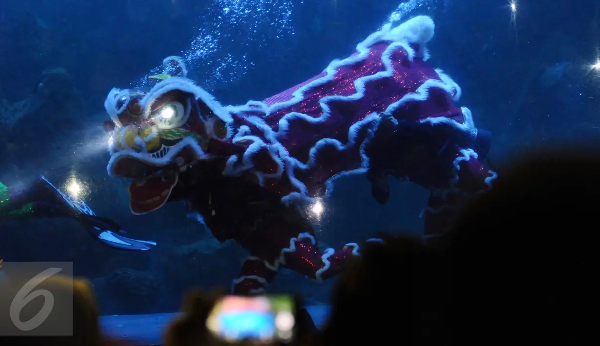 Salah satu atraksi barongsai di dalam kolam SeaWorld, Ancol, Jakarta, Sabtu (28/1). Atraksi barongsai ini untuk memeriahkan perayaan Tahun Baru Imlek 2568. (Liputan6.com/Helmi Fithriansyah)